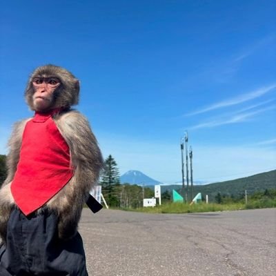 spliffborn's profile picture. Currently accepting awards for doing the bare minimum.”