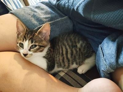 Pc9tENtEEfsMCSr's profile picture. 