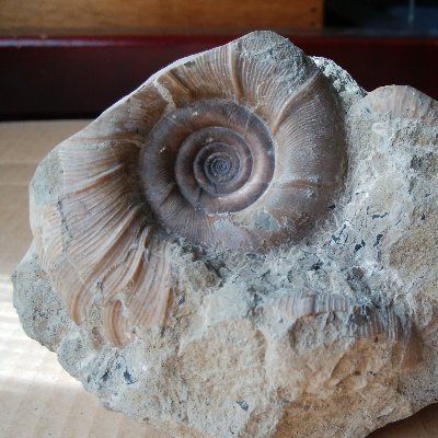 UPngsQVIFC92452's profile picture. 