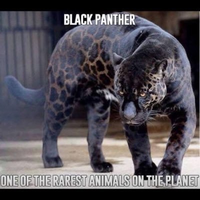 selbsrnan1's profile picture. Translated from Japanese
I post a lot of retweets for my cryptocurrency account.  
Let's go 
@movementlabsxyz