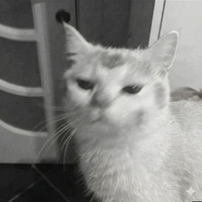 sahil2091's profile picture. Just exploring life.....
| fun ..tech ... and anime  |
undergrad | Electronics Engg|