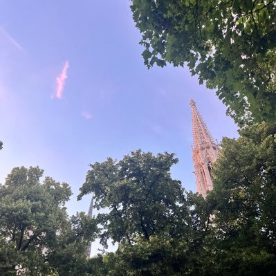 kneeeeeees22's profile picture. currently watching: Arcane  | currently reading: et que ne durent que les moments doux