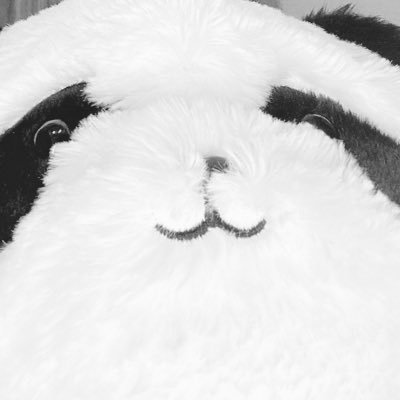 freedom645's profile picture. 弐寺/ポラリコ