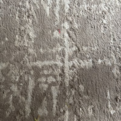 teankitk's profile picture. she/her