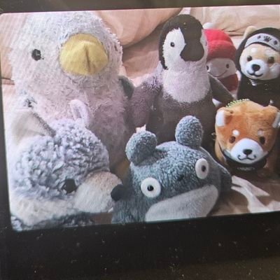 WowowowWow1648's profile picture. 😰😰😰😰😰😰😰😰