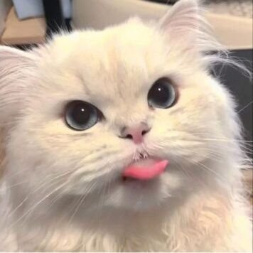 _offmu's profile picture. :- fan acc ; #Niceboripat | #BenBunyapol | #PieLattanan | #ParkyNapavit | #skycoop_ | etc.-: