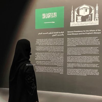 TalaAbdullahG's profile picture. Artificial intelligence student