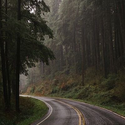 Malk85673855's profile picture. 