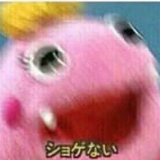 r1nk00's profile picture. 人生終わり