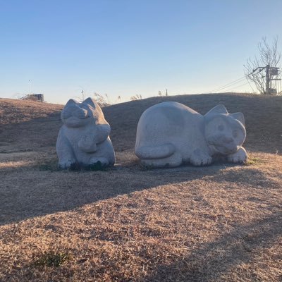 shintaku96184's profile picture. 29歳　既婚