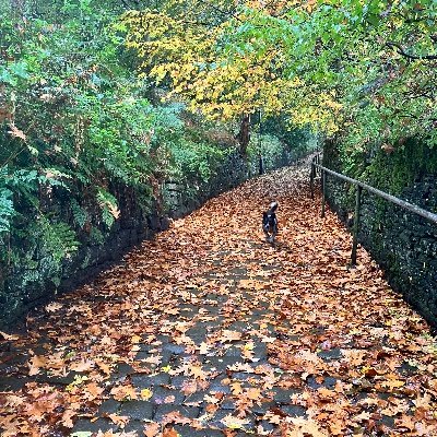 lizziebooks's profile picture. A holding account to replace the one I deleted when this place changed beyond recognition... See you IRL?