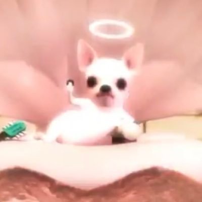 _letsbenew's profile picture. 정우 좋아서 뿌아앙 울 수도 있는 계정