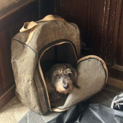 boberil_du's profile picture. JE SOUTIENS LES AGRICULTEURS, LES VITICULTEURS, LES PÊCHEURS ET LA RURALITÉ  chevaux 🐎Foret, vénerie, agriculture, Bretagne, 😊