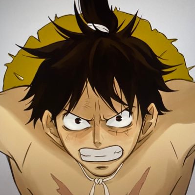 JellyfishTorao's profile picture. 🇺🇸🇨🇳| Maddi| Trafalgar Law...| HYYH brainrot| Proshippers DNI | On Wano | I draw sometimes | FREE 🇵🇸