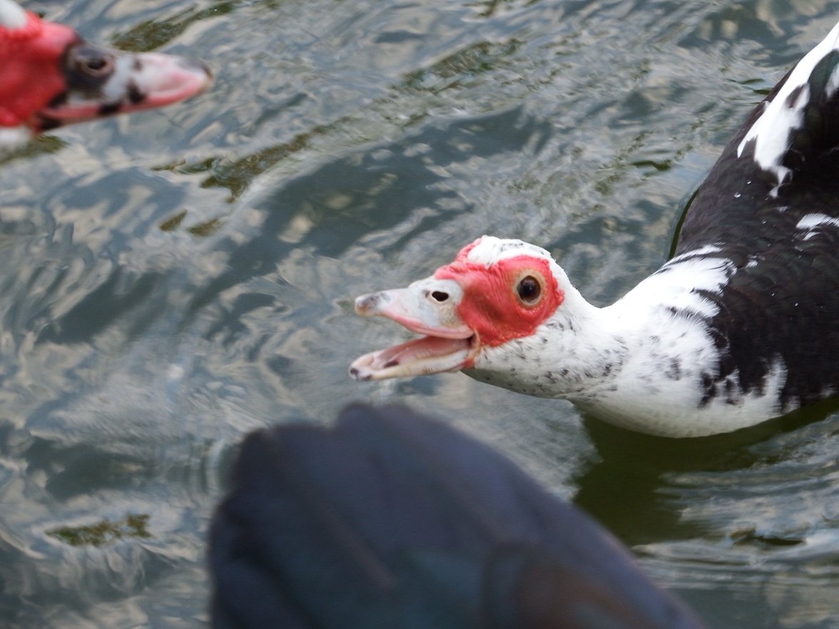 Lalalalala20070's profile picture. 