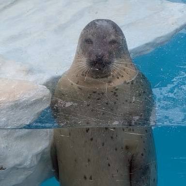 qookumam's profile picture. サラリーマン旅行好き