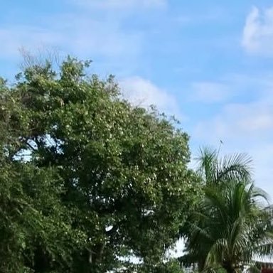 RoudyXt's profile picture. 