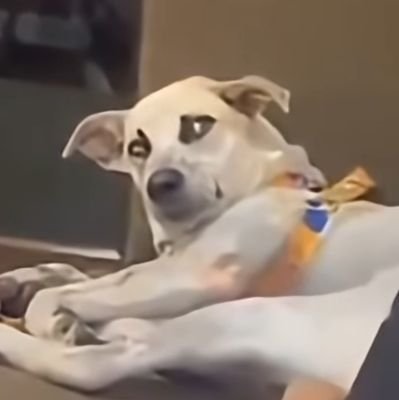 jittipatjj84749's profile picture. เป็นคนหล่อตั้งแต่เกิดควยดำ