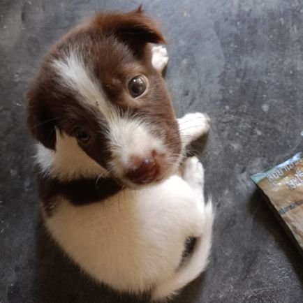 WXari39702's profile picture. ไม่รู้