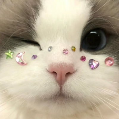 nya1578582's profile picture. 28卒 早慶 帰国子女 留学 戦コン志望