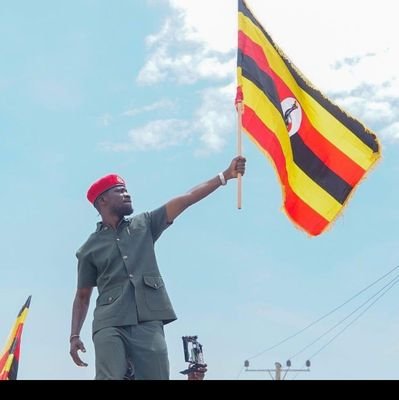 HabiyakareRodg1's profile picture. software dealer