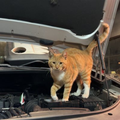 czapski_ma19498's profile picture. 