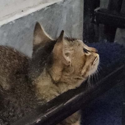 Harsh_P28's profile picture. trying to