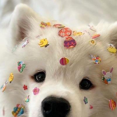 AuraJiBB's profile picture. 𝑁𝑜𝑏𝑜𝑑𝑦 𝑘𝑛𝑜𝑤𝑠 𝑢𝑠 𝑎𝑠 𝑤𝑒𝑙𝑙 𝑎𝑠 𝑤𝑒 𝑘𝑛𝑜𝑤 𝑜𝑢𝑟𝑠𝑒𝑙𝑣𝑒𝑠