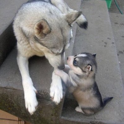 mstktksr's profile picture. 