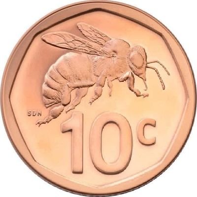 NdibiMr34402's profile picture. 