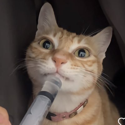 mmmeditationsss's profile picture. 