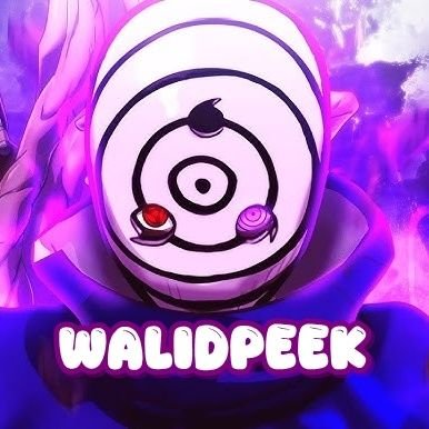 WalidPEEK's profile picture. 