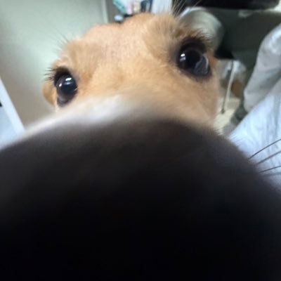 imgiveme's profile picture. 존재하게 해줘 영원토록