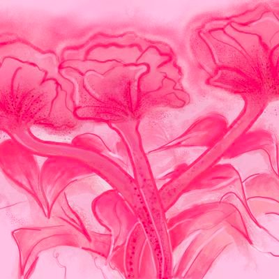 SuciNf86's profile picture. Quiet lines,steady life