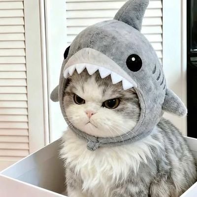 lykyou143's profile picture. ฉันรัก LYKNEST มาก 

IG:mary.yzabelle12 TikTok:แมรี่ อิซาเบล