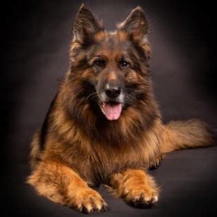 DailyObserpyvy's profile picture. 