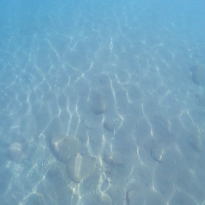 QkmmcNQMve47419's profile picture. 