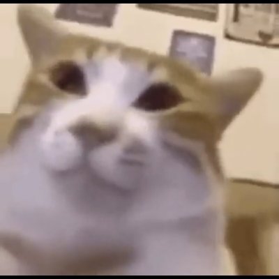 IdioticLuwuke's profile picture. 