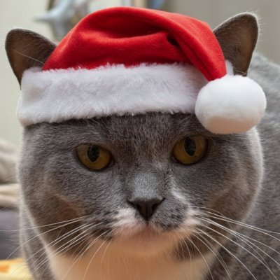 PO6pwOM02V187iV's profile picture. NFT Degen I WEB3 I Requiem DAO