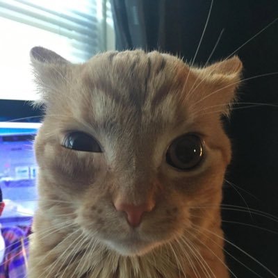 kimgamgumm's profile picture. 