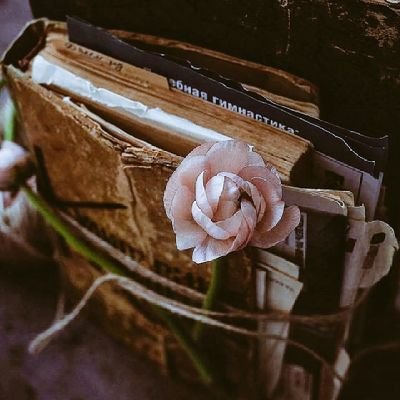 TimePass1's profile picture. I let the timeline raise my BP.