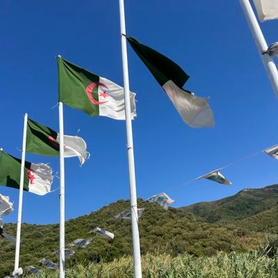 nvrdjes's profile picture. meuf de cité simple