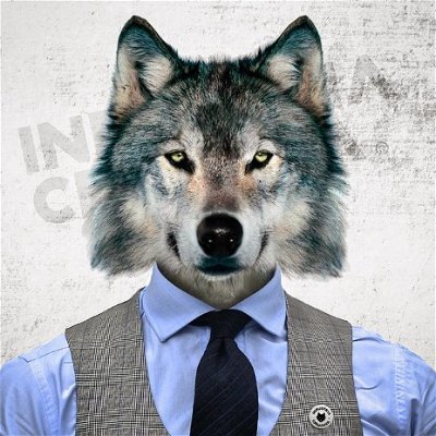 nunowar's profile picture. Indie Hacker, Designer, and Full-Stack Developer ✨ 
Building @wefoliocom & @eufaturo 🚀 
Accepting new projects → hey@nunoguerra.com