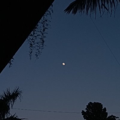 shitpost_ing101's profile picture. 