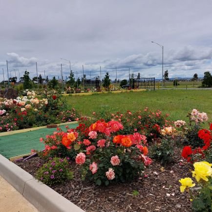 Maataluu's profile picture. Not young! No DMs!🚫 No spaces🚫