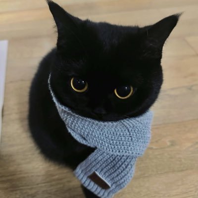 LexoFa8862's profile picture. 18🔼/ส้ม-โฉม สายFAชงชิป ซ้ายขวาหน้าหลังบนล่างกลาง วาดโป๊ รีตามสไตล์ไม่ชอบกดซ่อน/บล็อก เลย☕️