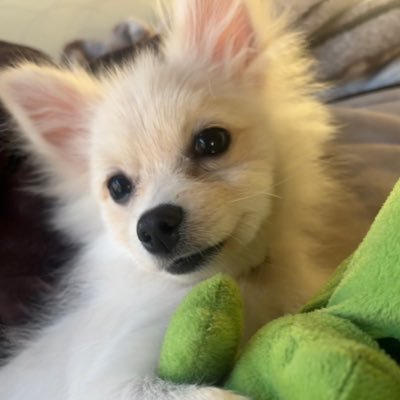 one_ruisui's profile picture. 