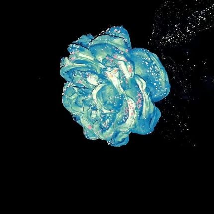 HThHngThm197912's profile picture. 🦆🐰🌻🤍