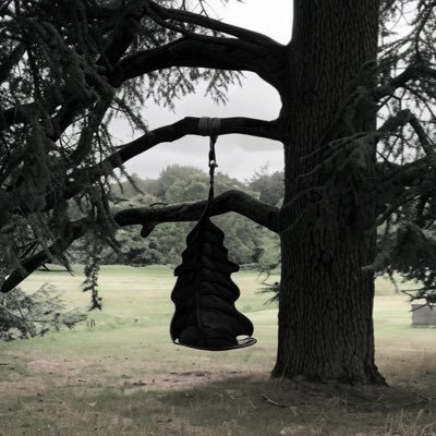 mindmoneylabs's profile picture. CFA | 15 yrs global banking | raised billions. Found quiet rhythm in roaring chaos. Real luxury & freedom is quieter & cheaper than you think | NFA, DYODD