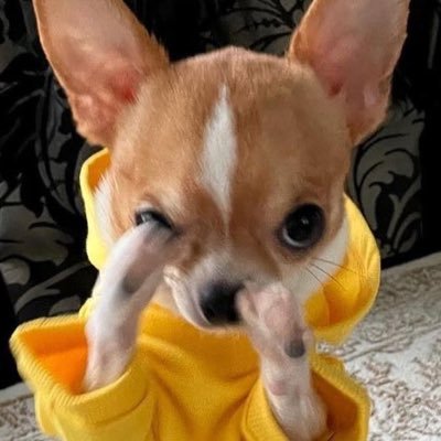 wts22ko's profile picture. 세번째정지… 구독계